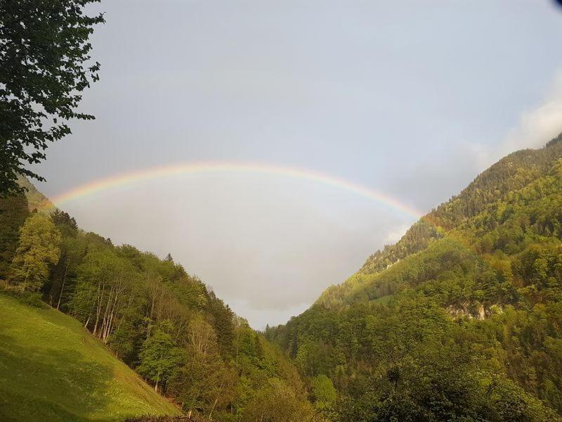 Panorama Jurte Ueber Dem Uri-See A Hotel Sisikon ภายนอก รูปภาพ