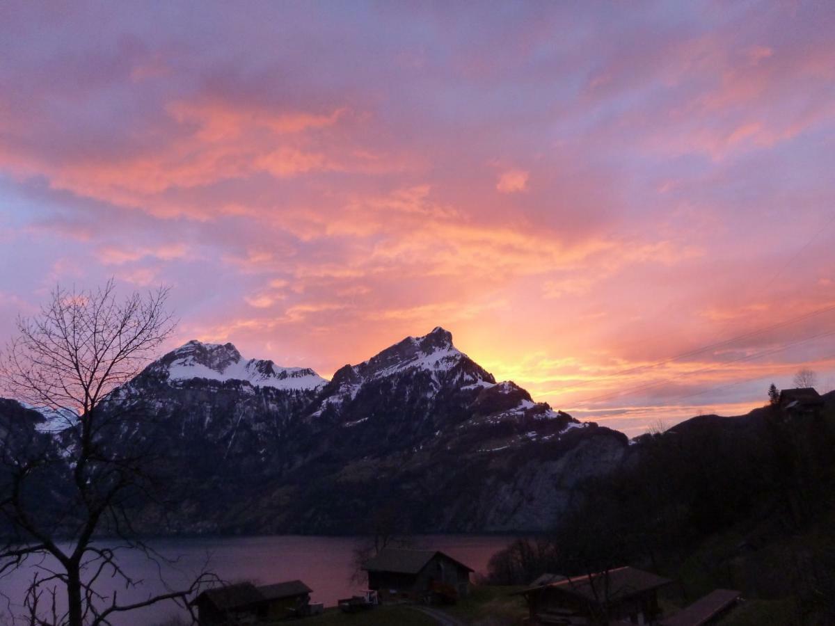 Panorama Jurte Ueber Dem Uri-See A Hotel Sisikon ภายนอก รูปภาพ